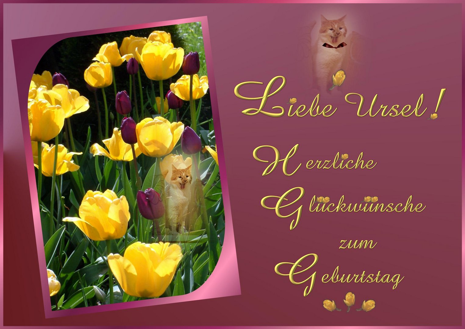 Alles Gute....