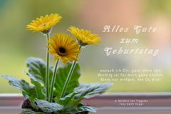 ALLES GUTE