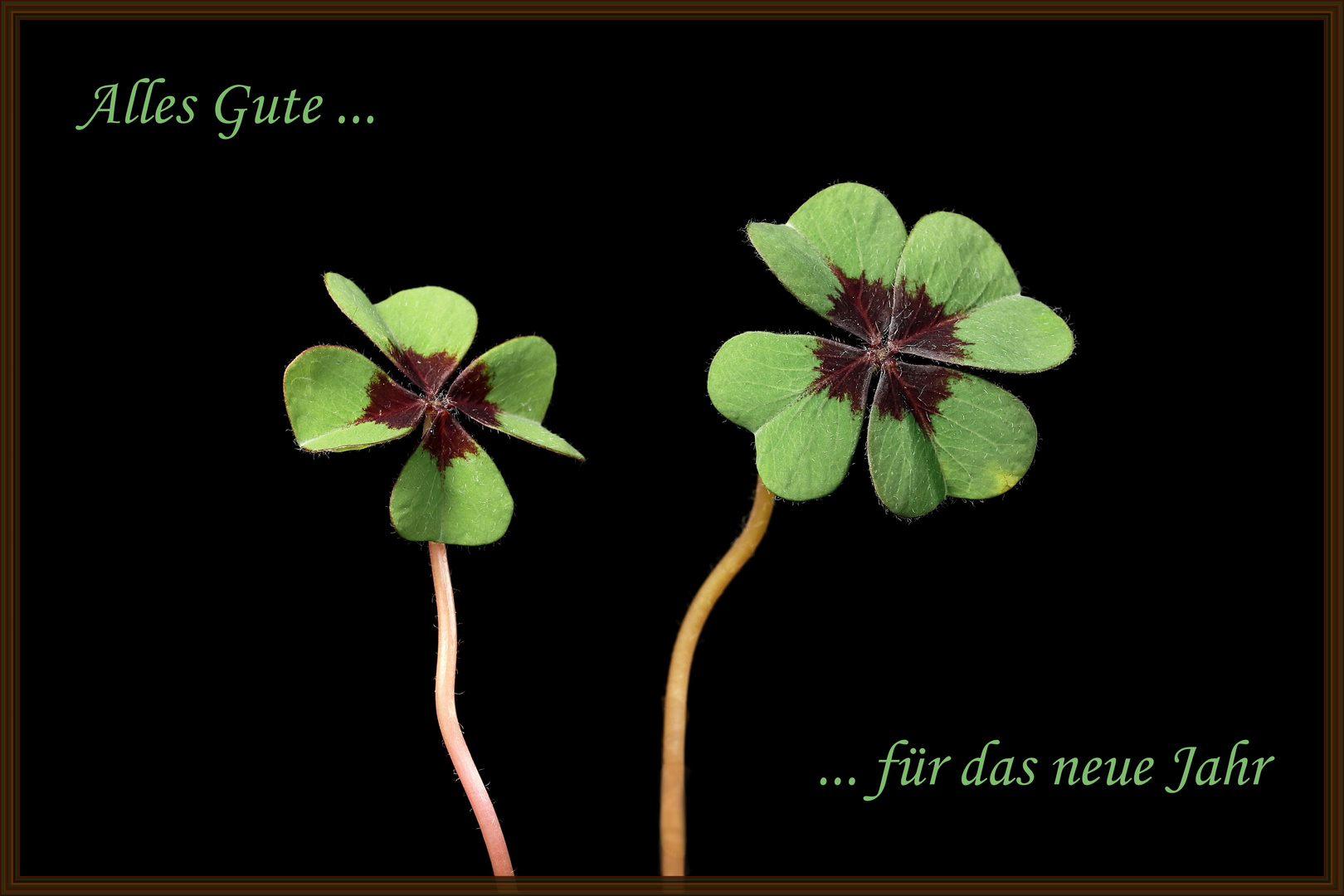 Alles Gute...