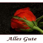 Alles Gute . . . . . . . .