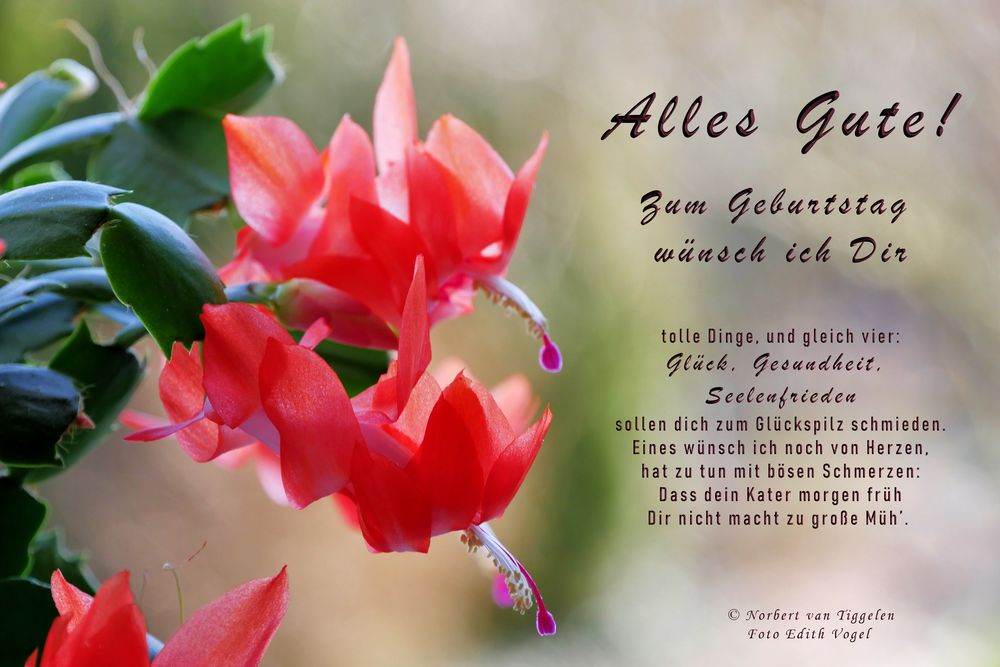 ALLES GUTE