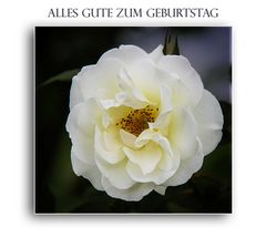 ALLES GUTE