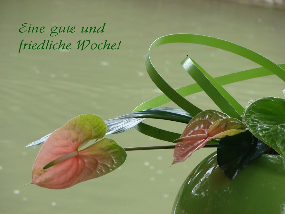 Alles Gute! Foto &amp; Bild karten und kalender, karten 2008, spezial