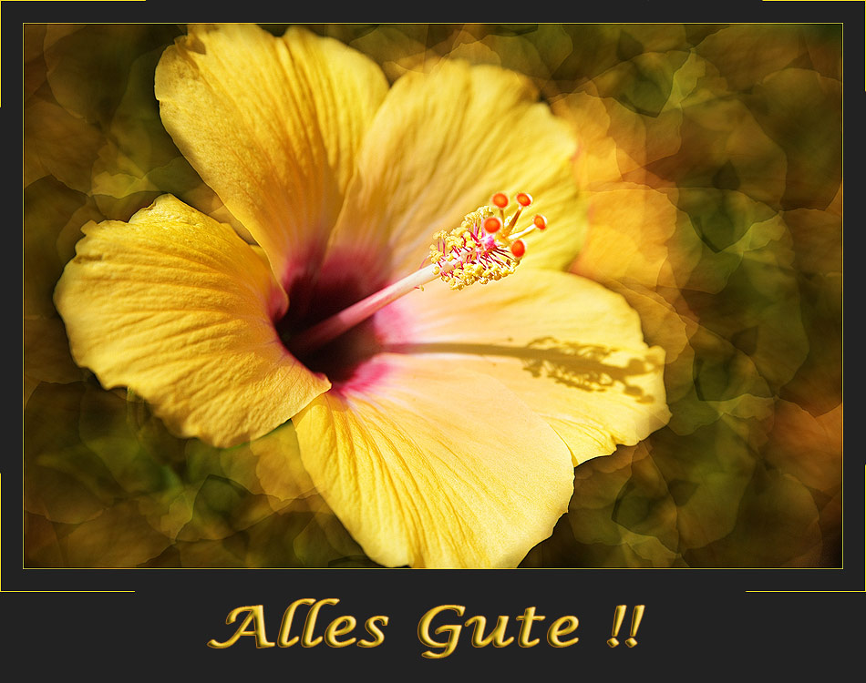 Alles Gute Anke :)