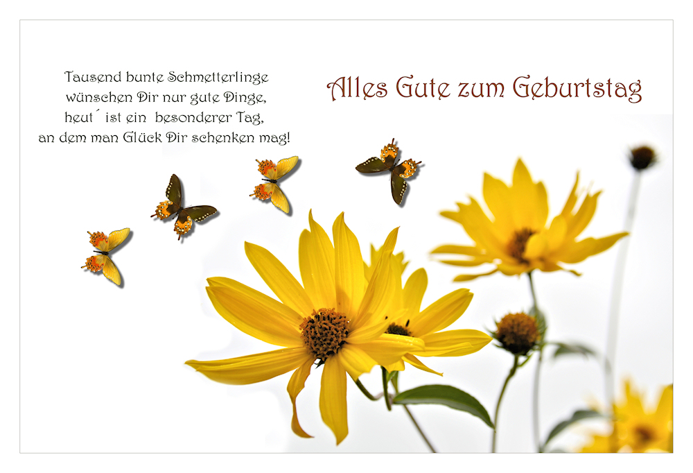 alles Gute.....