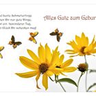 alles Gute.....