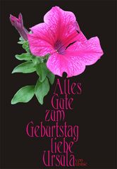 alles Gute....