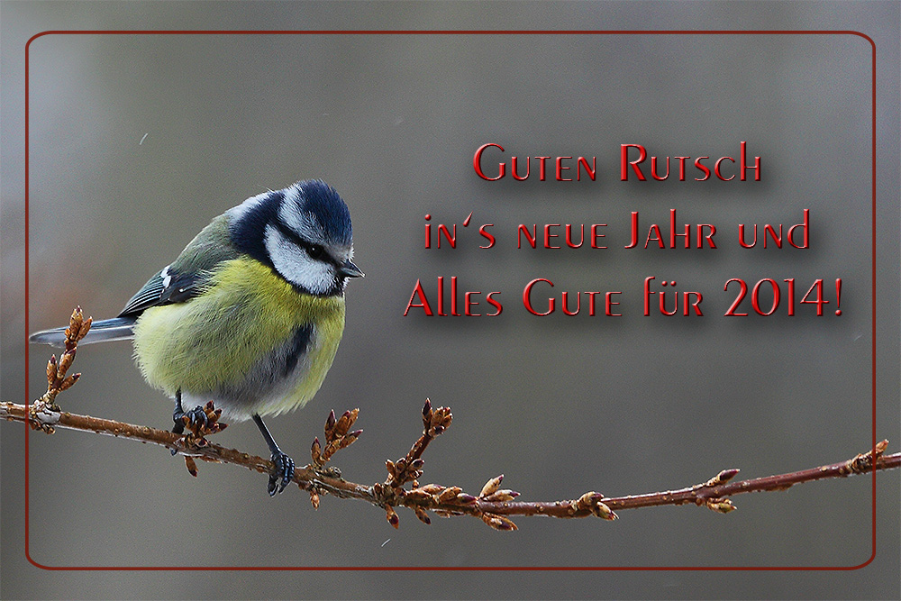 Alles Gute für 2014!