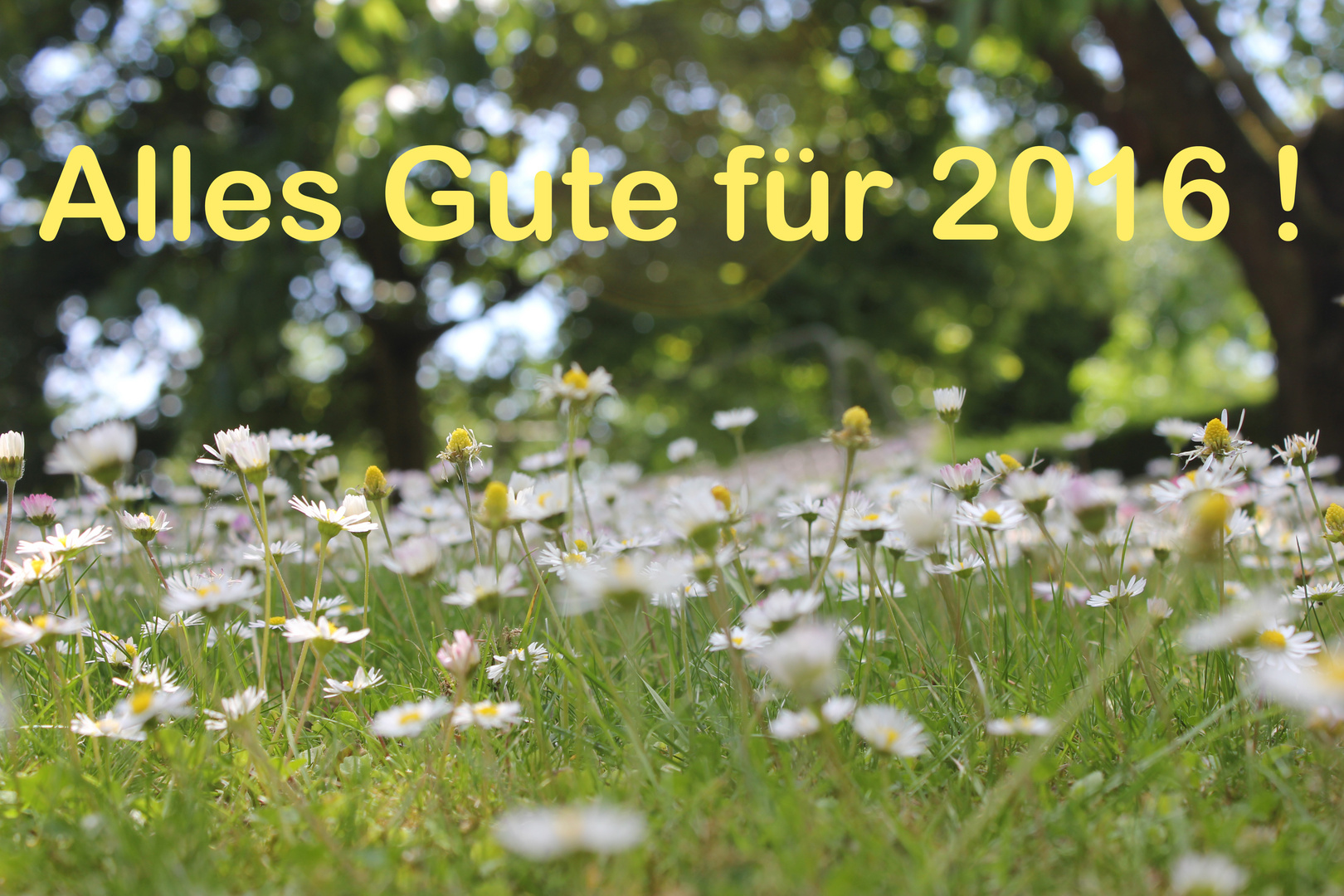 Alles Gute für 2016