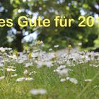 Alles Gute für 2016