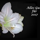 Alles Gute für 2017