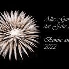 Alles Gute für 2022 - bonne année 2022