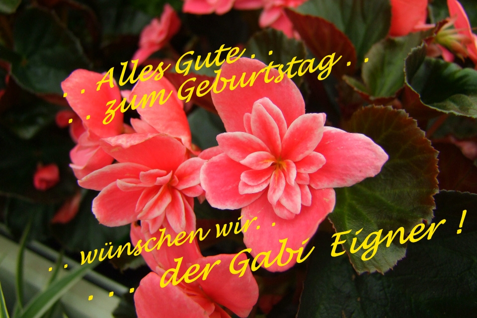 . . "Alles Gute Gabi Eigner !". .