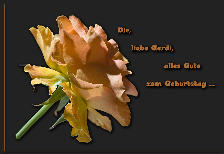 Alles Gute Gerdi....