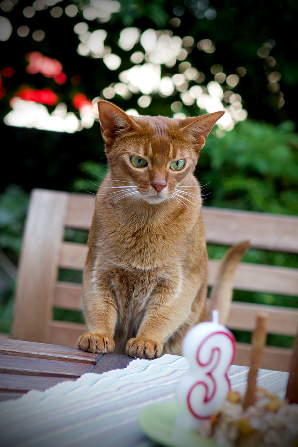 Alles Gute, kleine Maus!