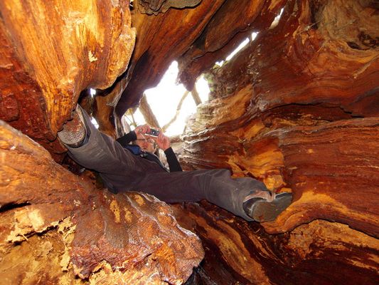 >>>((( alles gute kommt von ....................