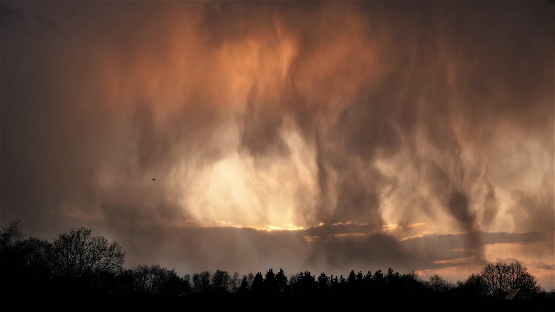 Alles Gute kommt von oben... Foto & Bild motive, natur, spezial