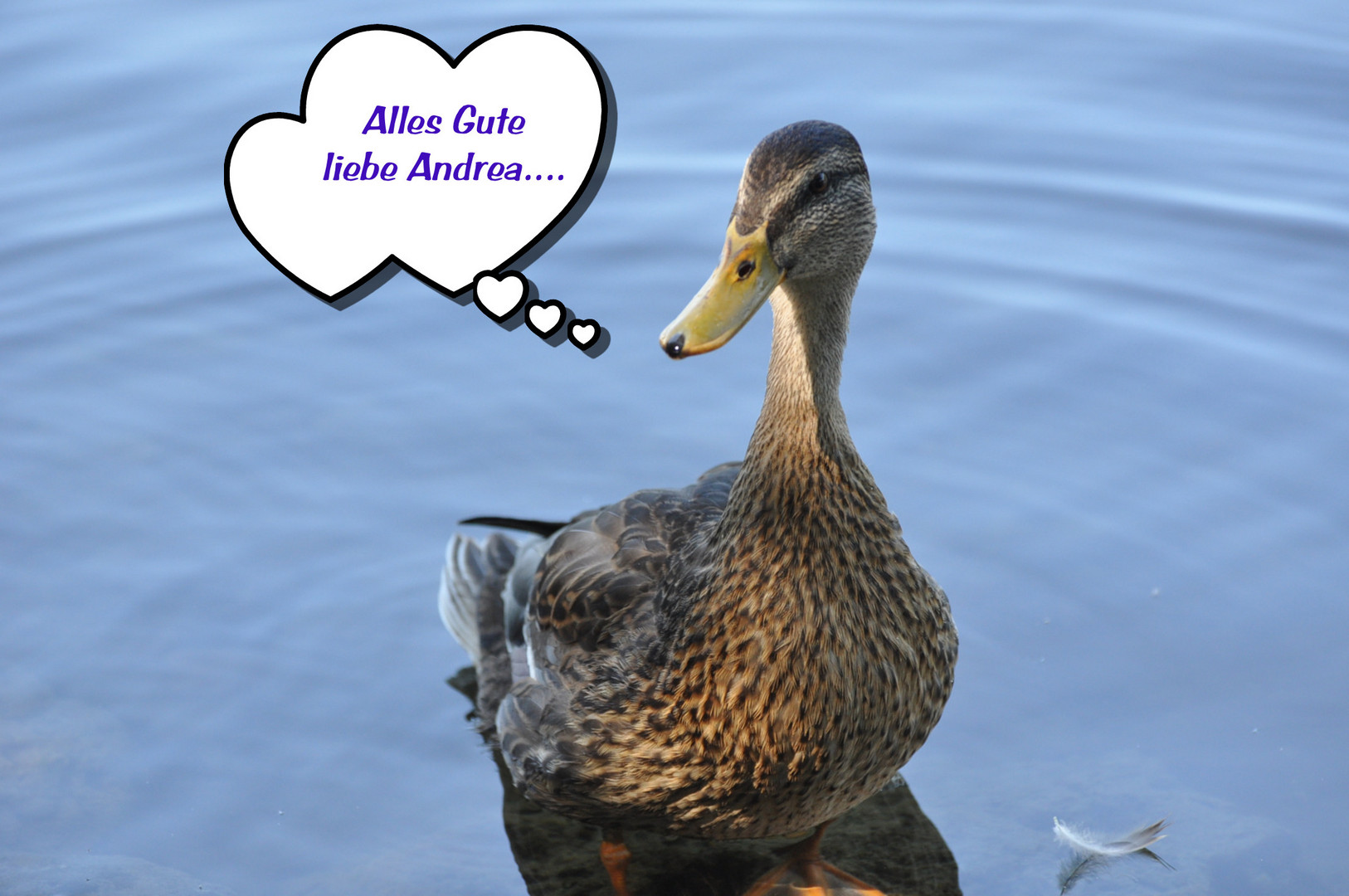 Alles Gute liebe Andrea..