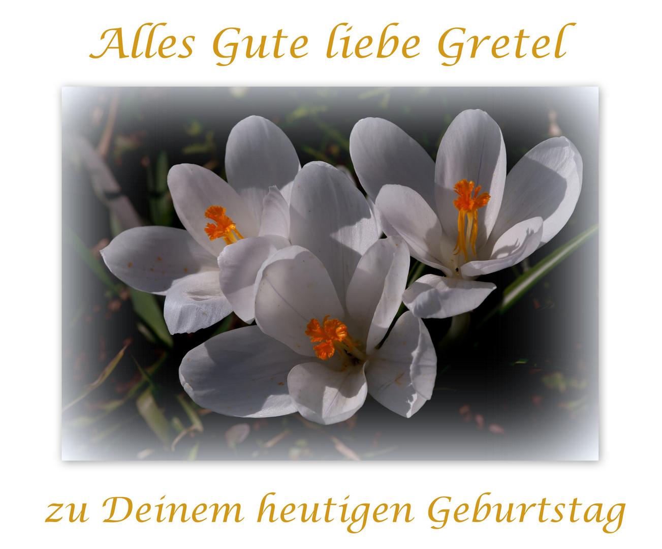 Alles Gute liebe Gretel