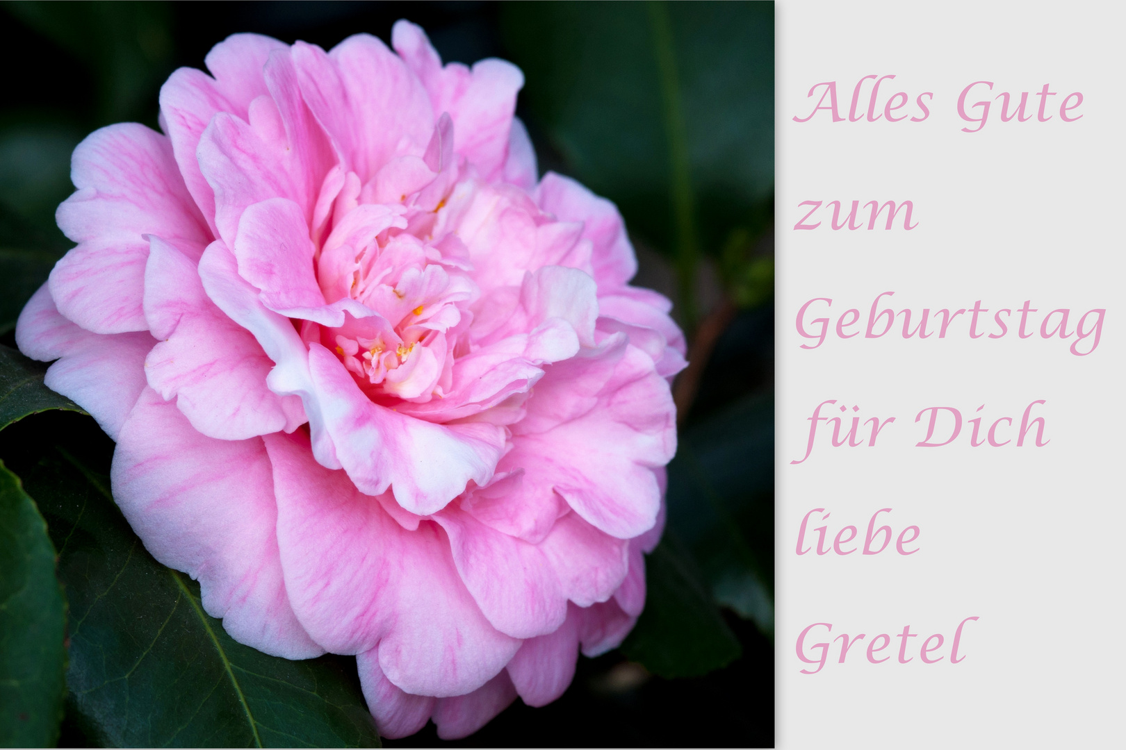 Alles Gute liebe Gretel