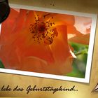 Alles Gute Liebe Heide