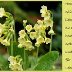 Alles Gute liebe Moni