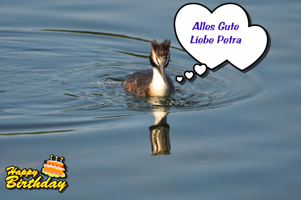 Alles Gute Liebe Petra Foto & Bild karten und kalender