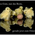 Alles Gute, nur das Beste 