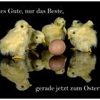 Alles Gute, nur das Beste 