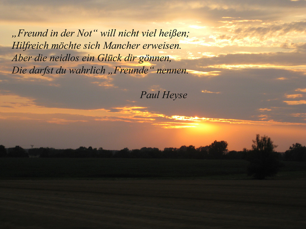 Alles Gute Sonnenschein...