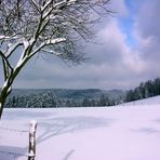 Alles Gute und Gesundheit für 2010 !