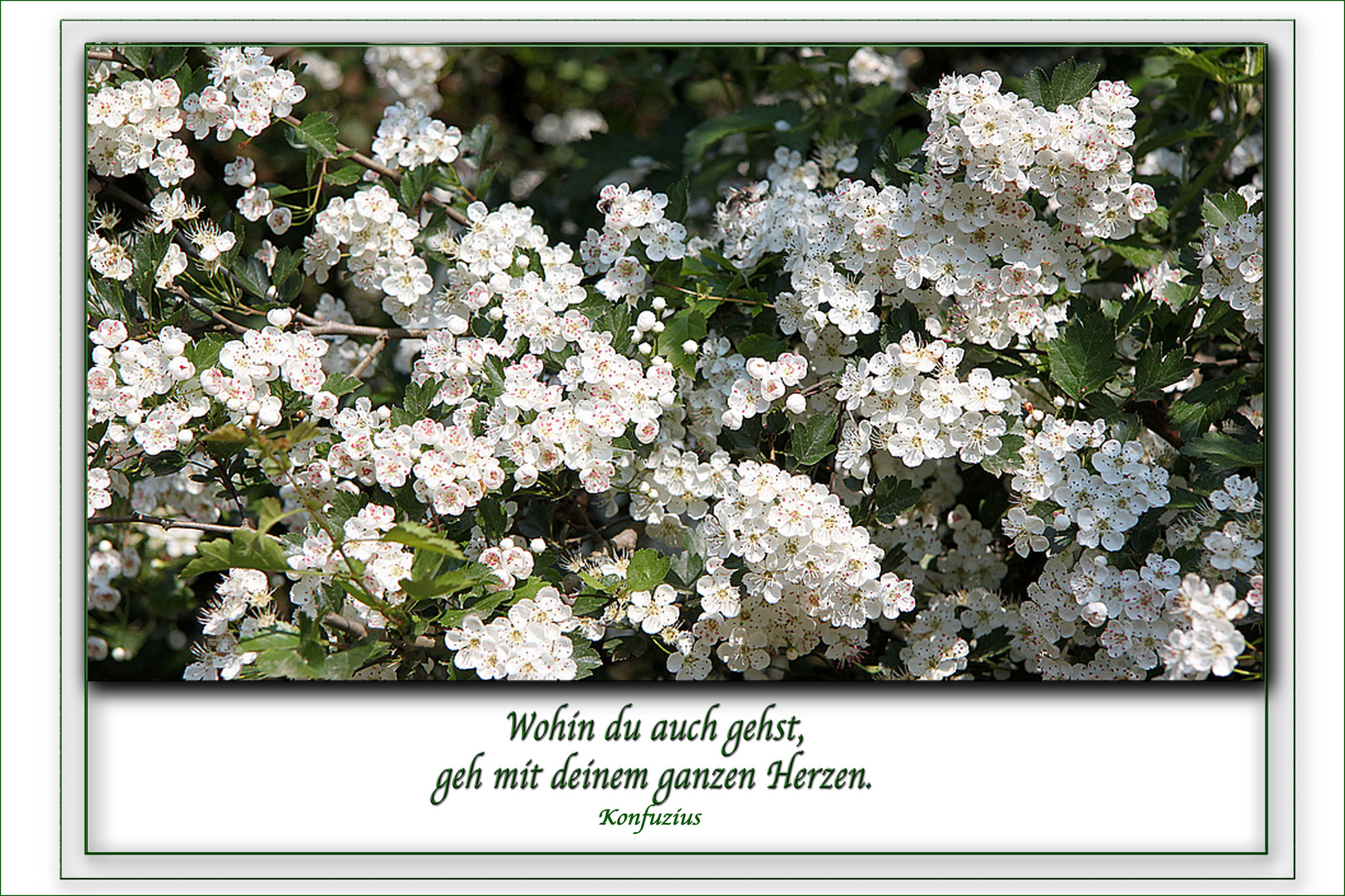 Alles Gute Zu Euerem 42 Hochzeitstag Foto Bild Fotokunst Collagen Collagen I Bilder Auf Fotocommunity