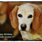 Alles Gute zum 15. Geburtstag