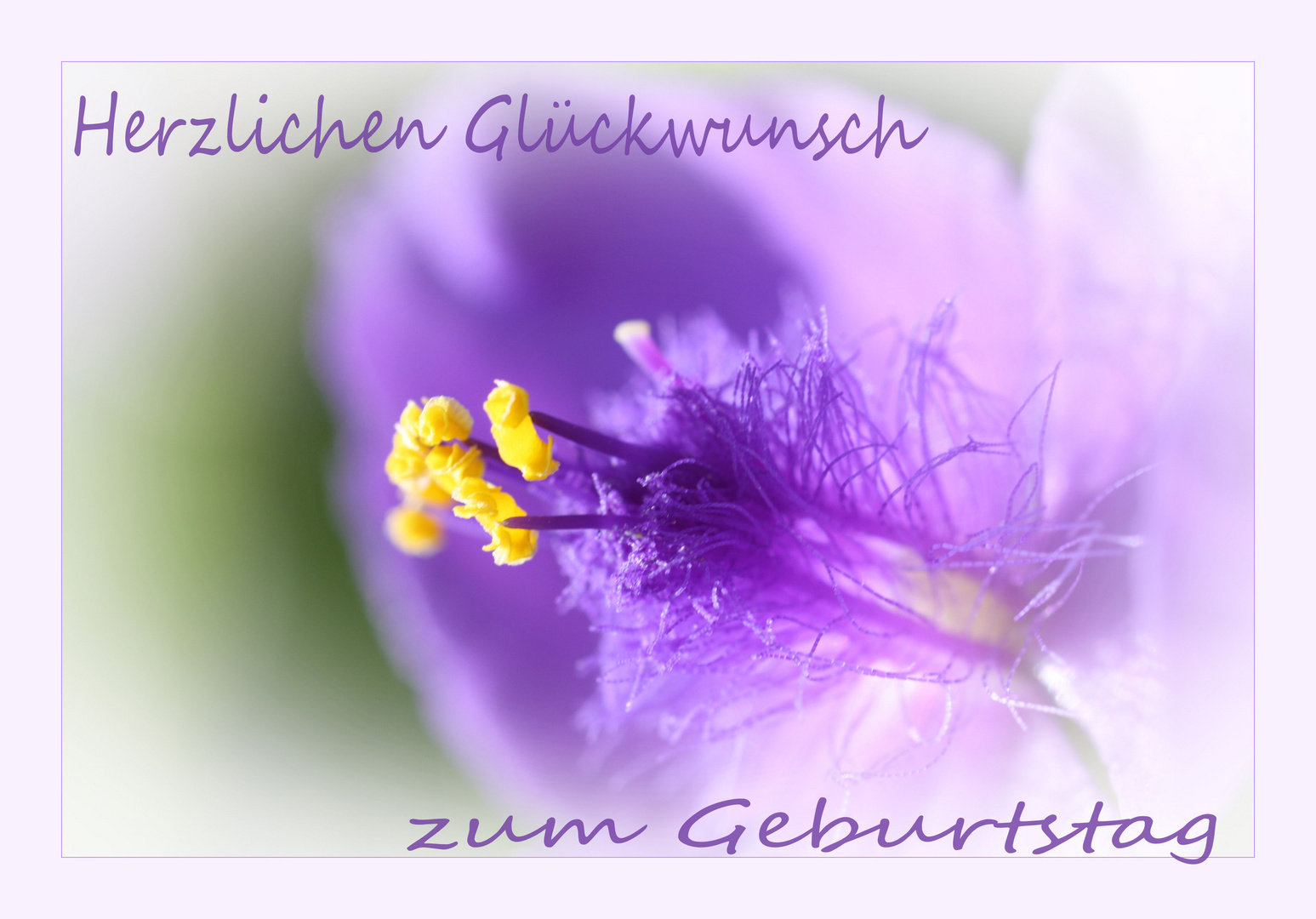 Alles Gute zum Geburtstag..