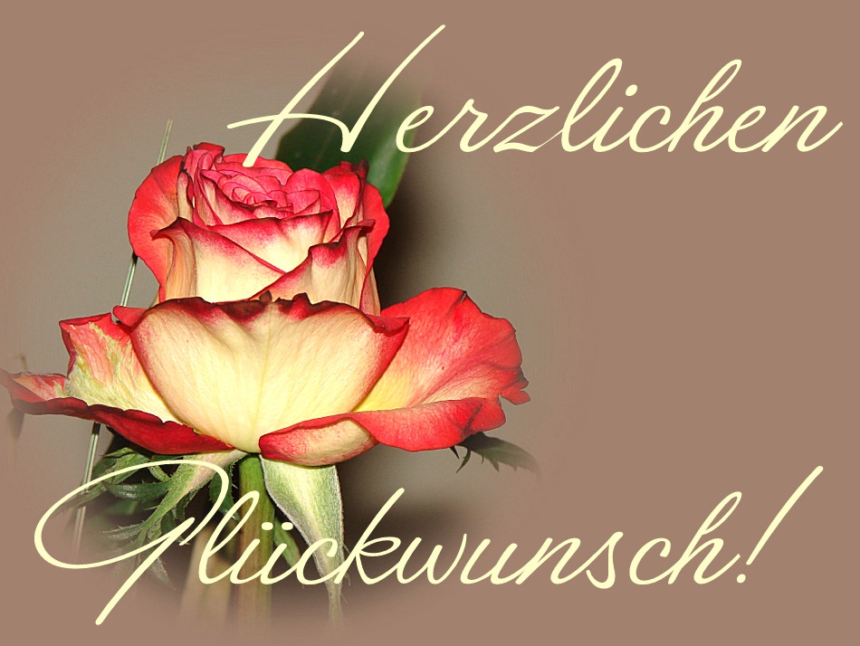 foto alles gute zum geburtstag alles gute zum geburtstag foto bild gratulation und foto alles gute zum geburtstag alles gute zum geburtstag foto bild gratulation und