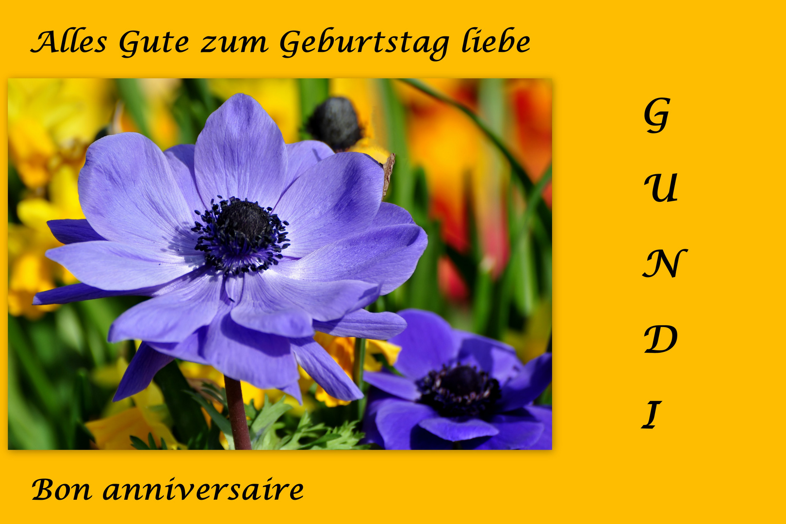 Alles Gute zum Geburtstag