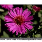 Alles Gute zum Geburtstag liebe Astrid