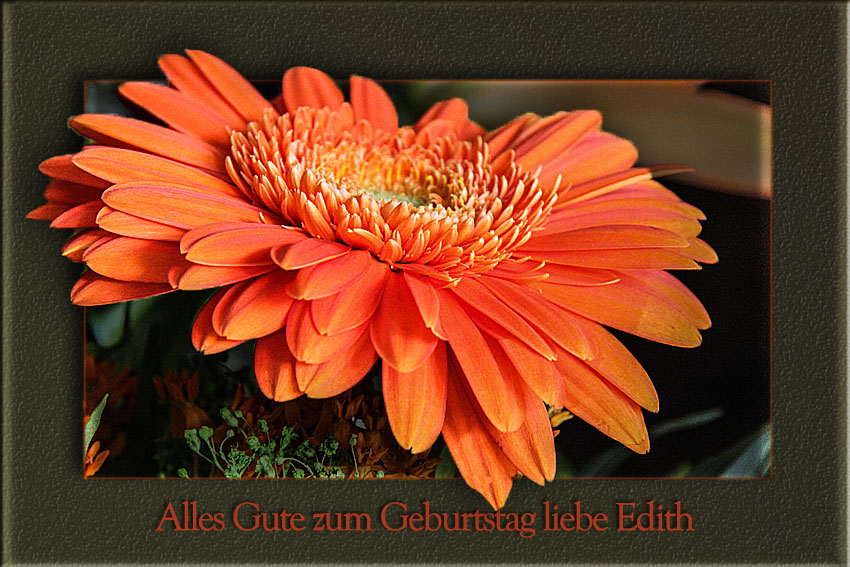 ALLES GUTE ZUM GEBURTSTAG LIEBE EDITH