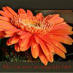 ALLES GUTE ZUM GEBURTSTAG LIEBE EDITH