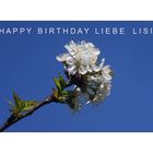 Alles Gute zum Geburtstag Lisi !!!!