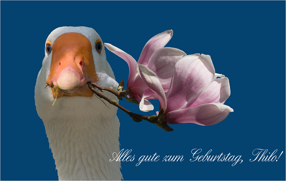 Alles gute zum Geburtstag, Thilo!