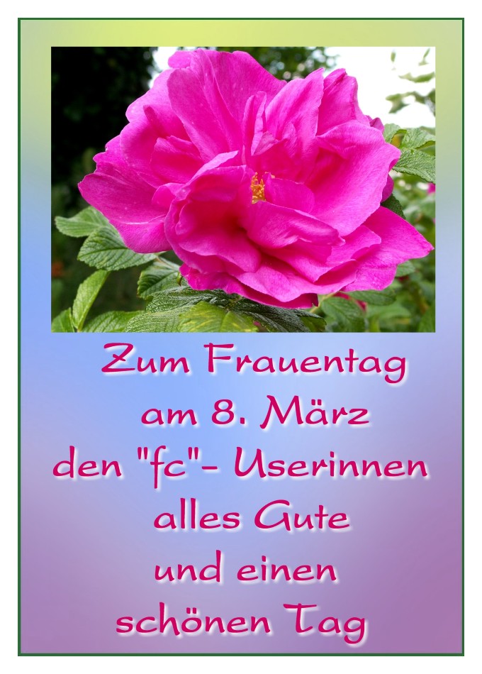 Alles Gute zum Internationalen Frauentag