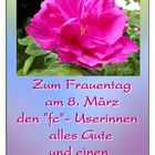 Alles Gute zum Internationalen Frauentag