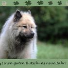 Alles Gute zum Jahreswechsel!