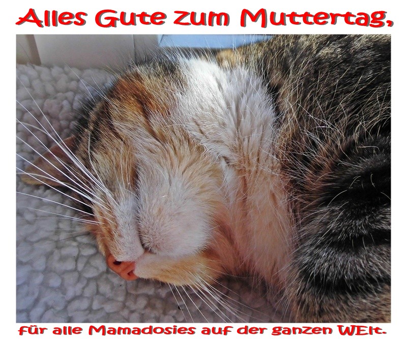 Alles Gute zum Muttertag