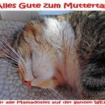 Alles Gute zum Muttertag