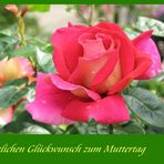 Alles Gute zum Muttertag am 10.05.09