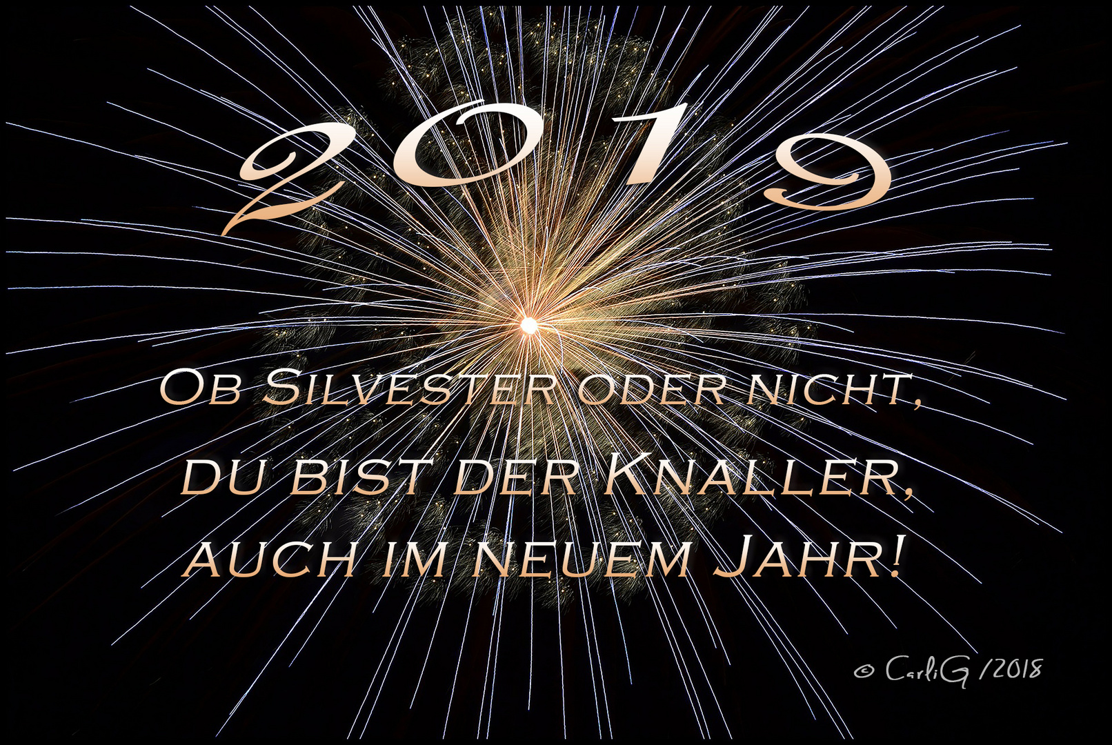 Alles Gute zum neuen Jahr 2019 Foto & Bild silvester, art, spezial