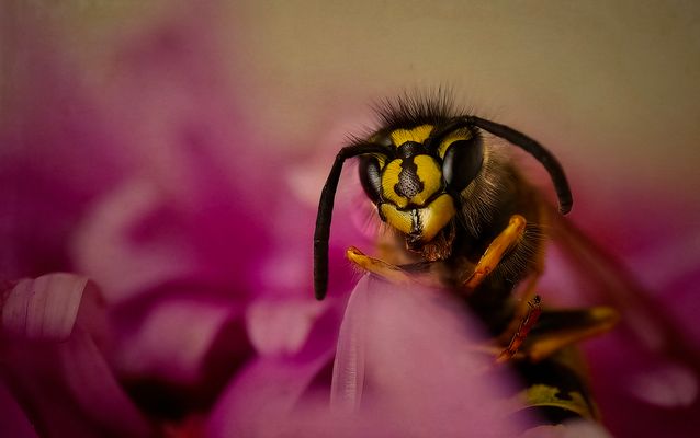 Alles hat ein Ende..