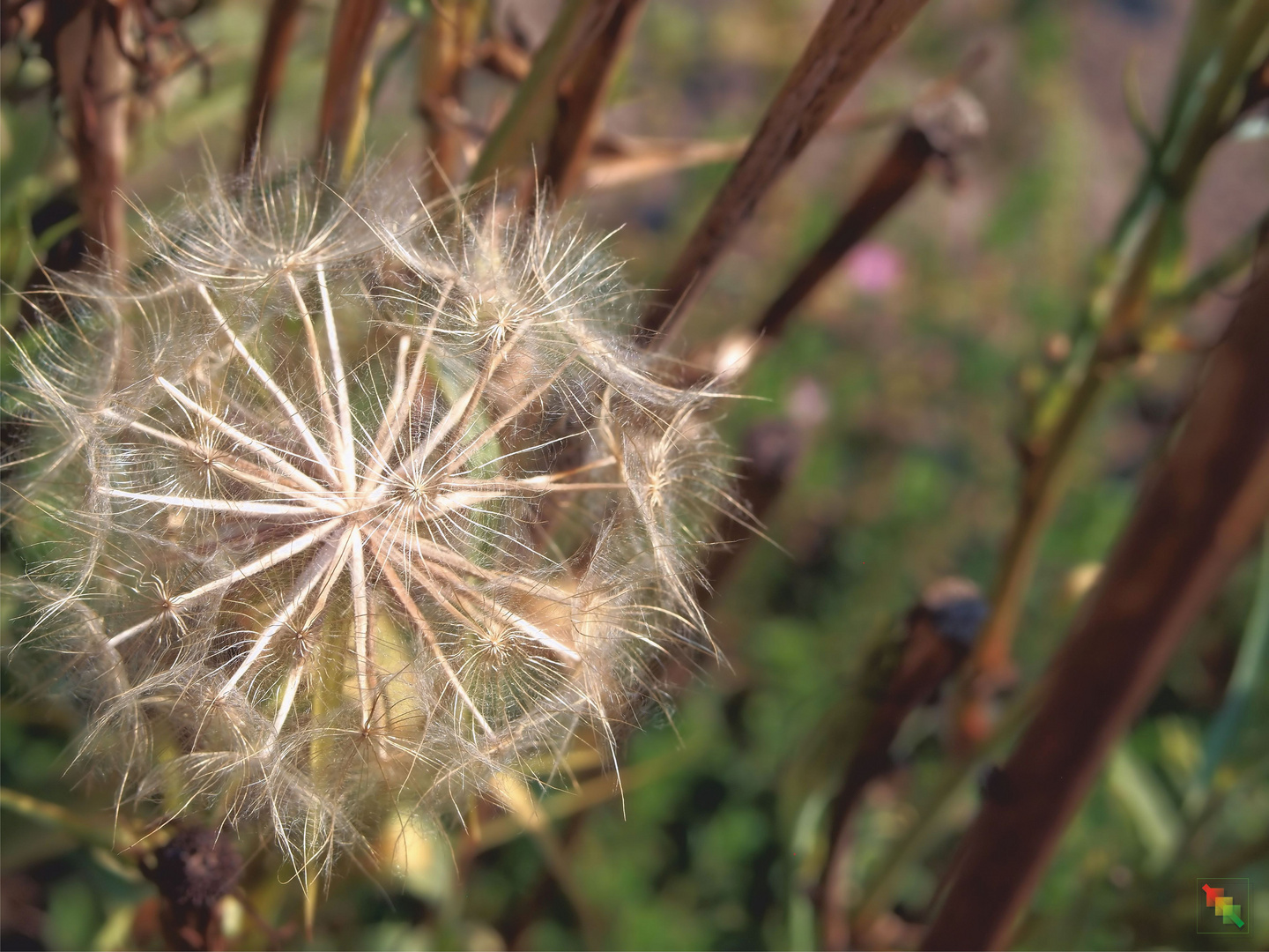 ... alles hat ein Ende... auch der Sommer